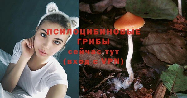 соль курить ск Армянск