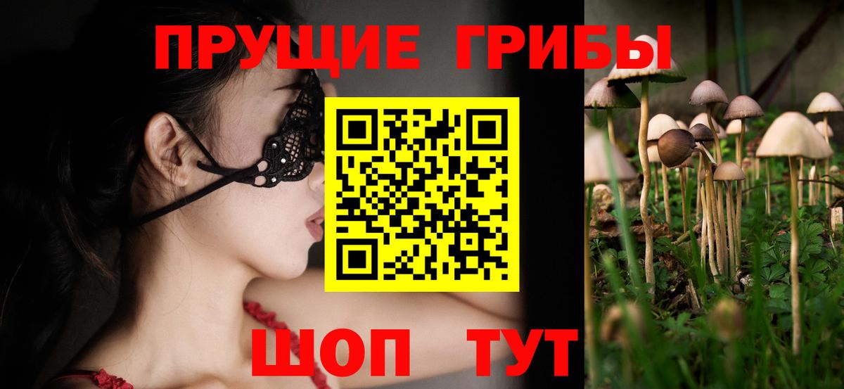 Псилоцибиновые грибы ЛСД Чернушка