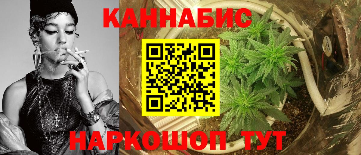 Канабис план  Вход с VPN  МАРИХУАНА Ganja  Чернушка  Шишки марихуана Ganja  Канабис тримм 